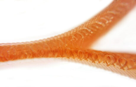 魔鬼氈不起毛 毛面 膚色 unnapped loop_hook and loop_skin colo