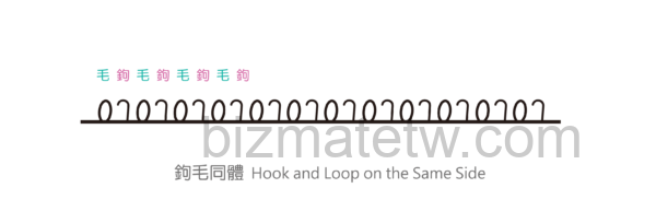 鉤毛同體黏扣帶